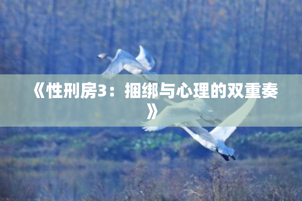 《性刑房3：捆绑与心理的双重奏》