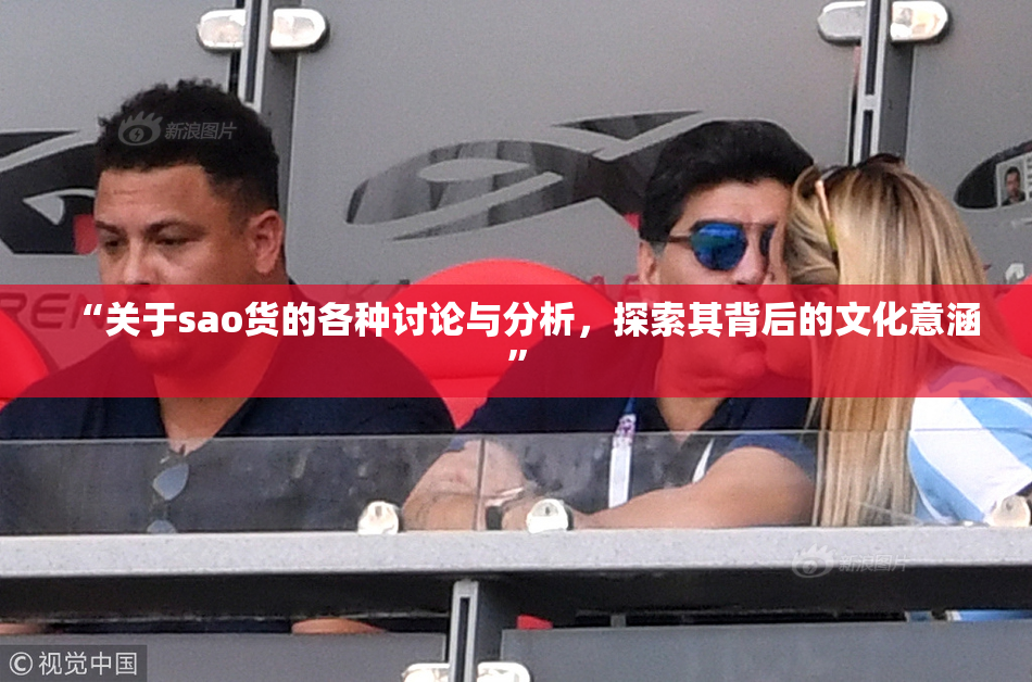 “关于sao货的各种讨论与分析，探索其背后的文化意涵”