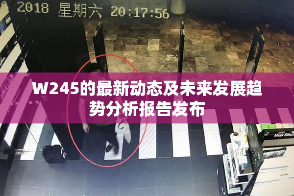 W245的最新动态及未来发展趋势分析报告发布