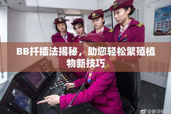 BB扦插法揭秘，助您轻松繁殖植物新技巧