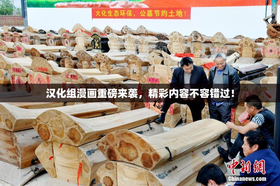 汉化组漫画重磅来袭，精彩内容不容错过！