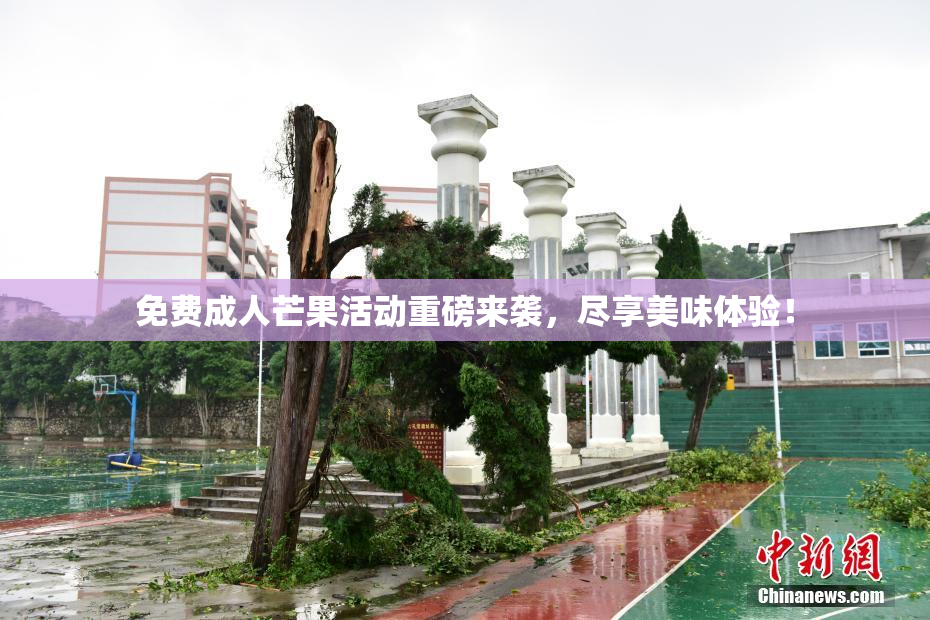 免费成人芒果活动重磅来袭，尽享美味体验！
