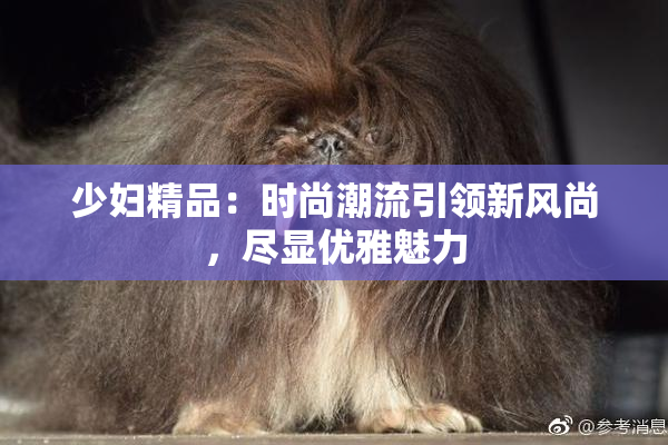 少妇精品：时尚潮流引领新风尚，尽显优雅魅力