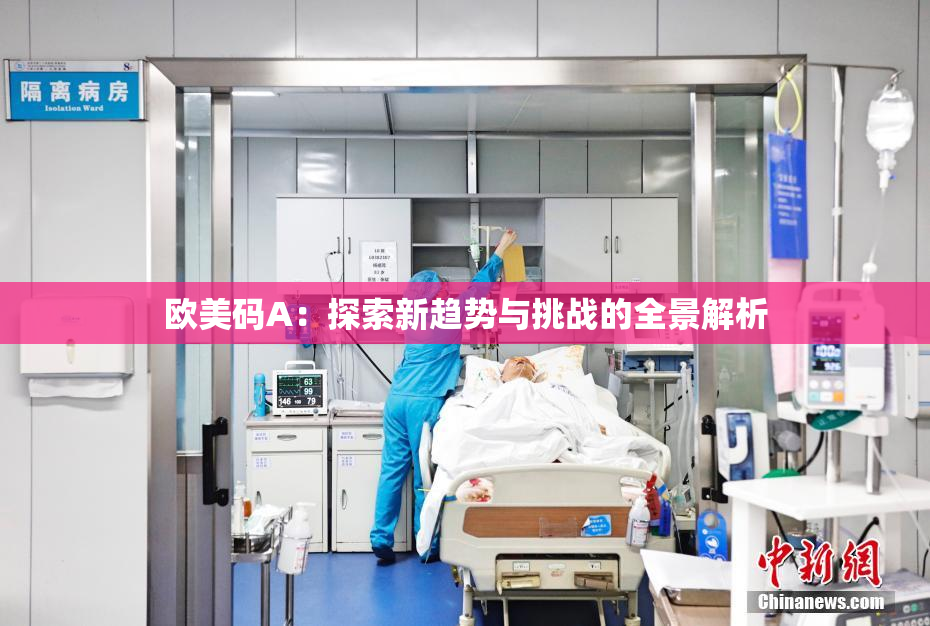 欧美码A：探索新趋势与挑战的全景解析