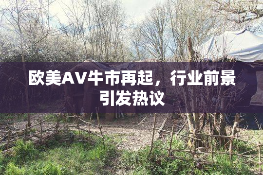 欧美AV牛市再起，行业前景引发热议