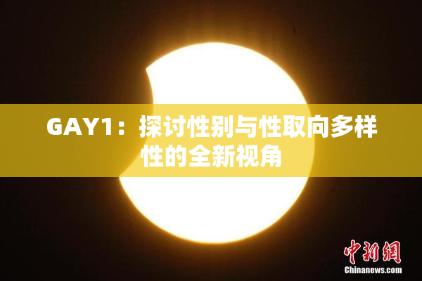 GAY1：探讨性别与性取向多样性的全新视角
