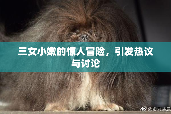 三女小嫩的惊人冒险，引发热议与讨论