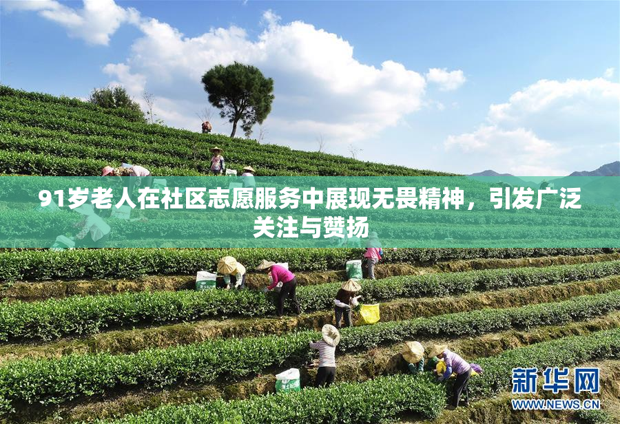 91岁老人在社区志愿服务中展现无畏精神，引发广泛关注与赞扬