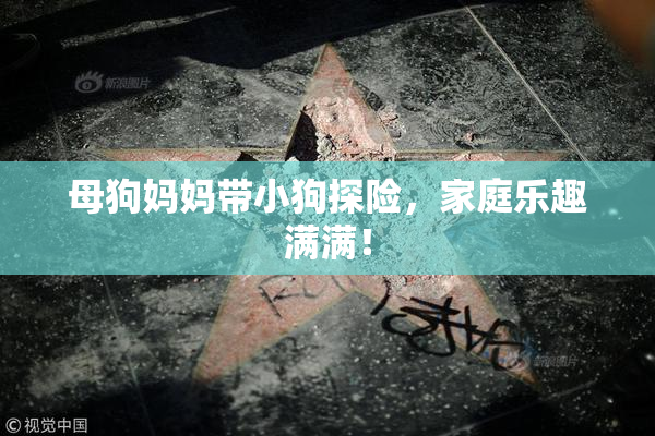 母狗妈妈带小狗探险，家庭乐趣满满！