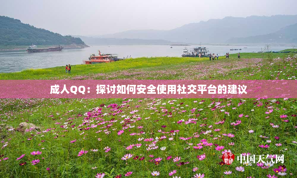 成人QQ：探讨如何安全使用社交平台的建议