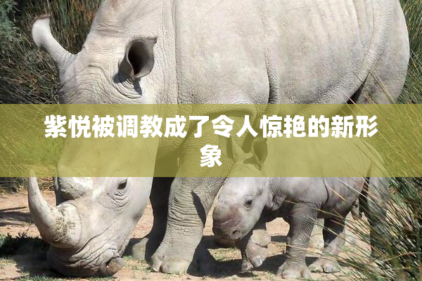 紫悦被调教成了令人惊艳的新形象