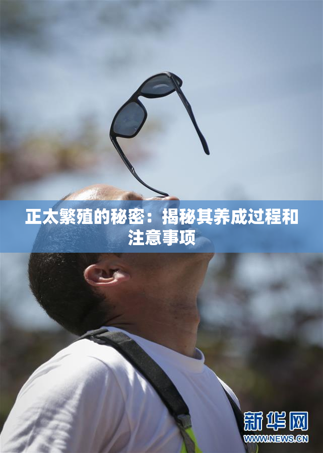 正太繁殖的秘密：揭秘其养成过程和注意事项