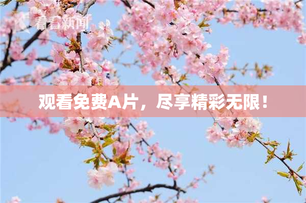 观看免费A片，尽享精彩无限！