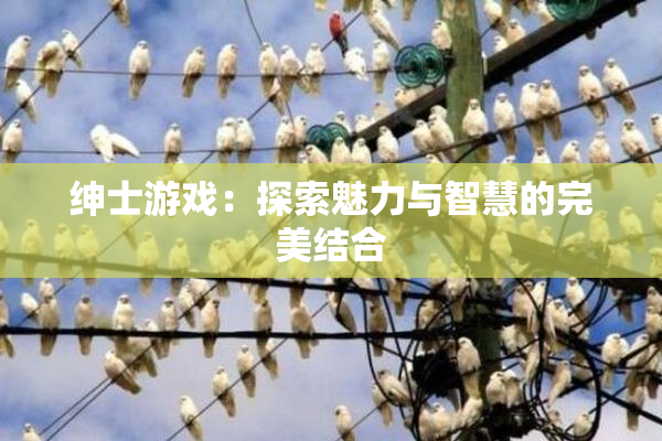 绅士游戏：探索魅力与智慧的完美结合