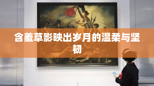 含羞草影映出岁月的温柔与坚韧
