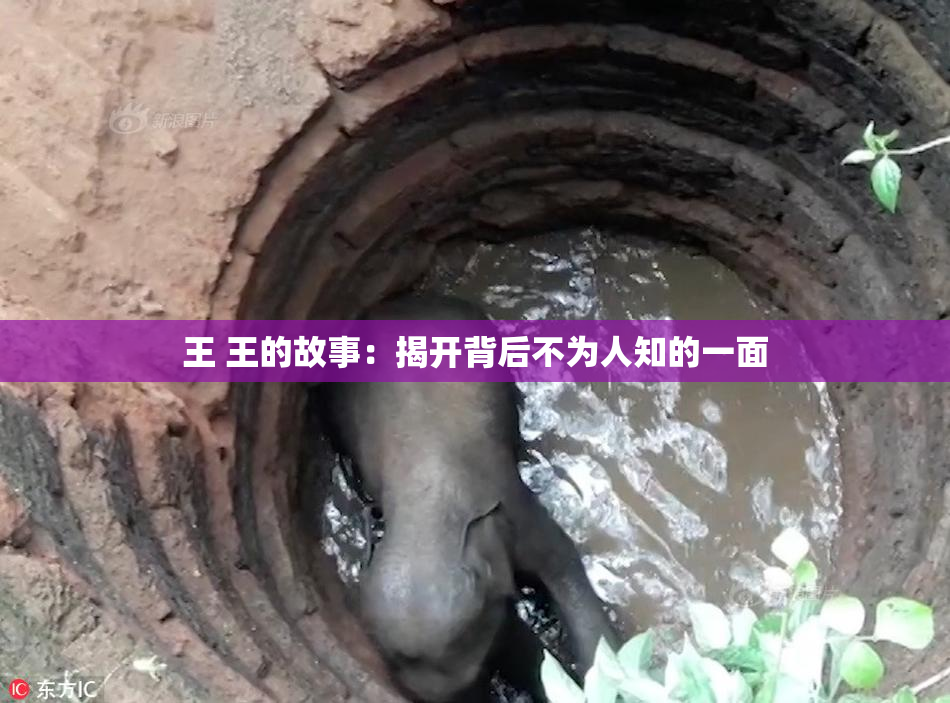 王 王的故事：揭开背后不为人知的一面