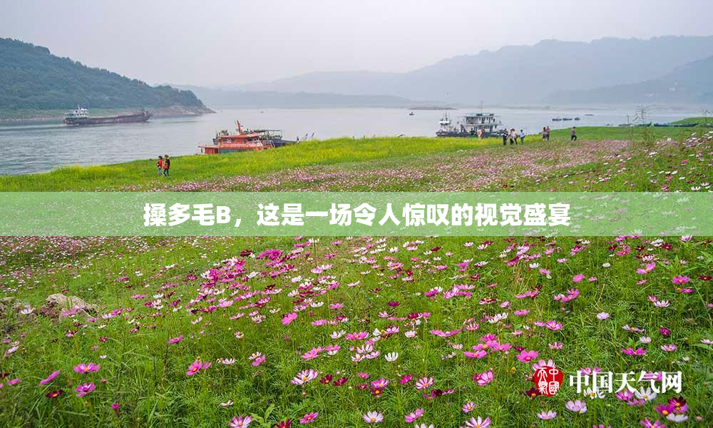 搡多毛B，这是一场令人惊叹的视觉盛宴