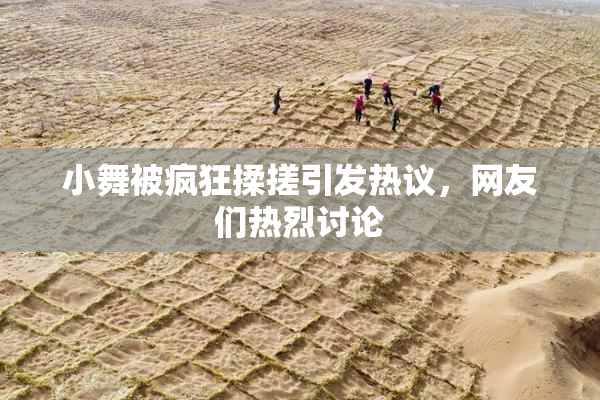 小舞被疯狂揉搓引发热议，网友们热烈讨论