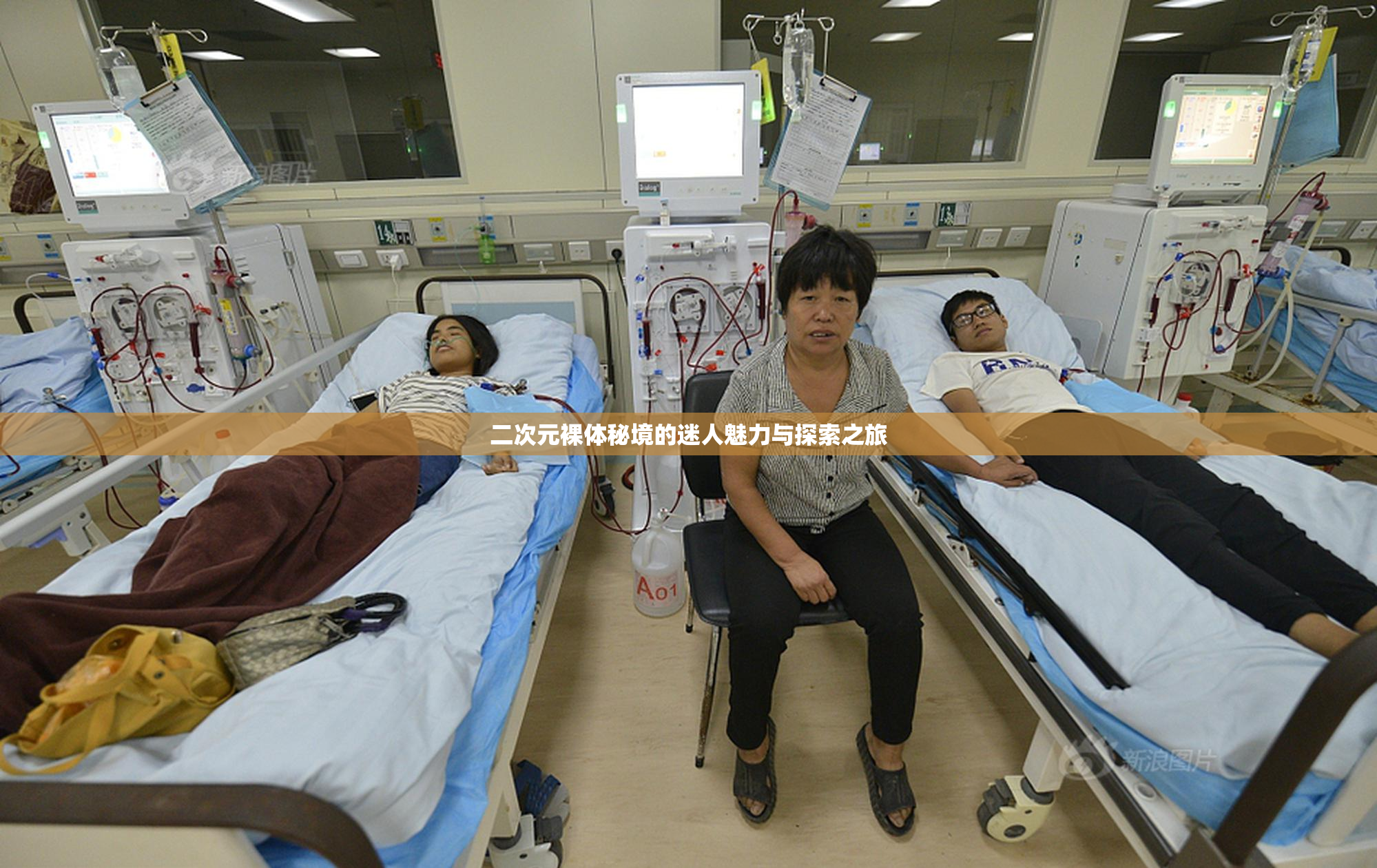 二次元裸体秘境的迷人魅力与探索之旅