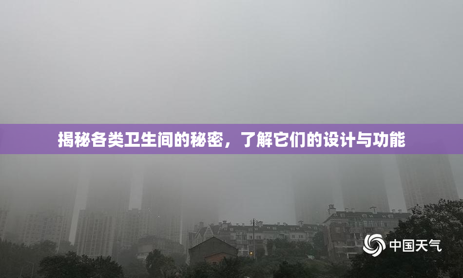 揭秘各类卫生间的秘密，了解它们的设计与功能