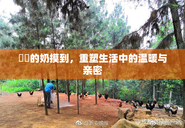 妺妺的奶摸到，重塑生活中的温暖与亲密
