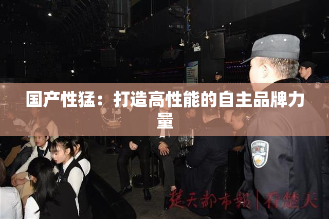 国产性猛：打造高性能的自主品牌力量
