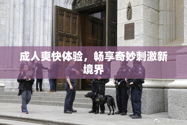 成人爽快体验，畅享奇妙刺激新境界