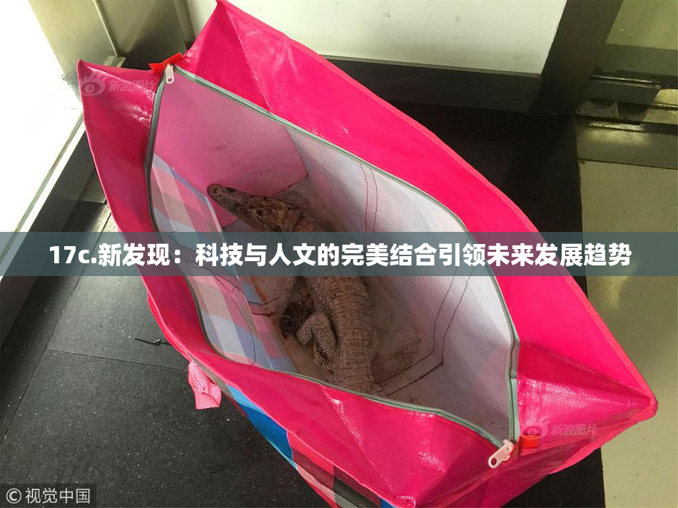 17c.新发现：科技与人文的完美结合引领未来发展趋势
