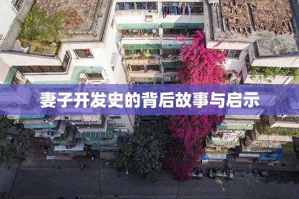 妻子开发史的背后故事与启示
