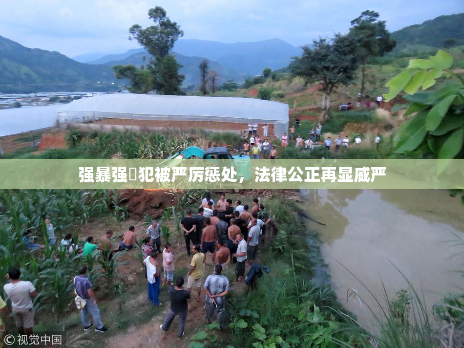 强暴强姦犯被严厉惩处，法律公正再显威严