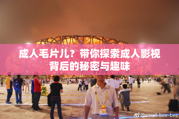 成人毛片儿？带你探索成人影视背后的秘密与趣味
