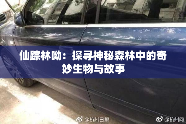 仙踪林呦：探寻神秘森林中的奇妙生物与故事