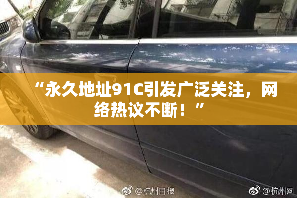 “永久地址91C引发广泛关注，网络热议不断！”