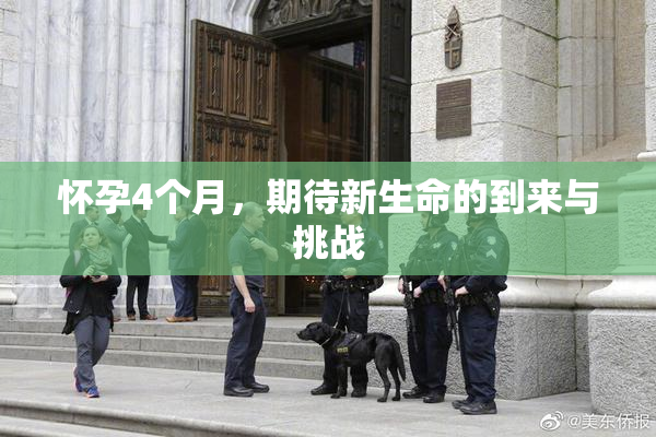 怀孕4个月，期待新生命的到来与挑战