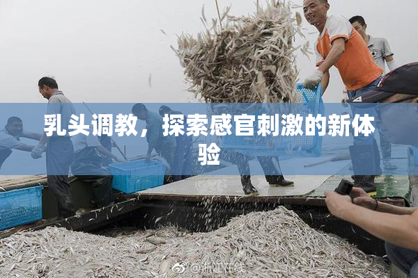 乳头调教，探索感官刺激的新体验