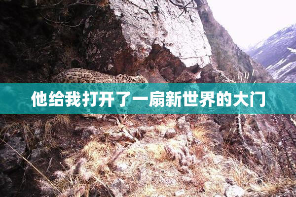 他给我打开了一扇新世界的大门
