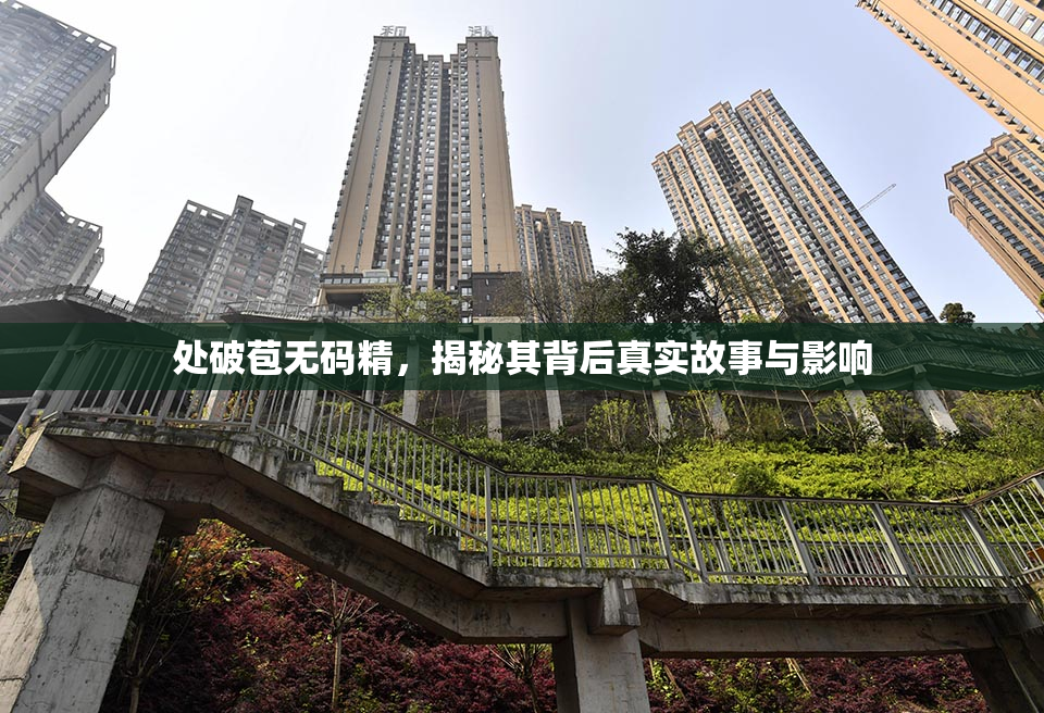处破苞无码精，揭秘其背后真实故事与影响