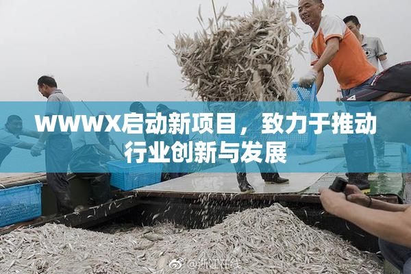 WWWX启动新项目，致力于推动行业创新与发展