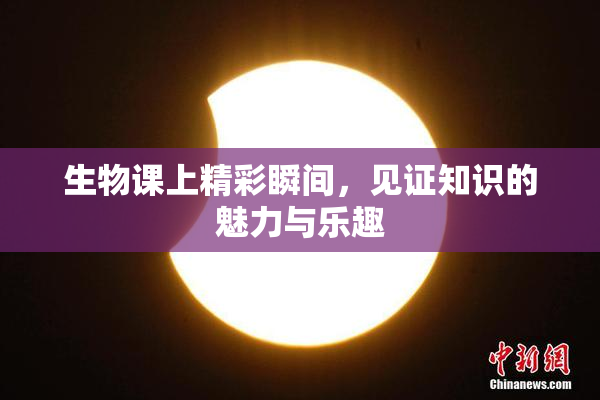 生物课上精彩瞬间，见证知识的魅力与乐趣