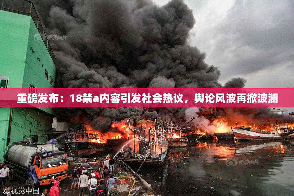 重磅发布：18禁a内容引发社会热议，舆论风波再掀波澜