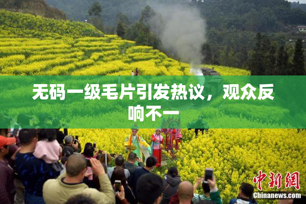 无码一级毛片引发热议，观众反响不一