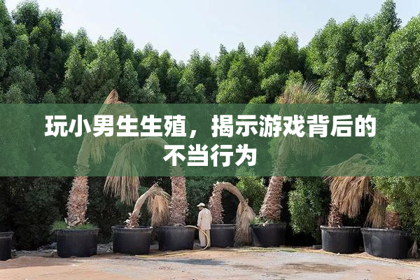 玩小男生生殖，揭示游戏背后的不当行为