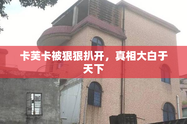 卡芙卡被狠狠扒开，真相大白于天下
