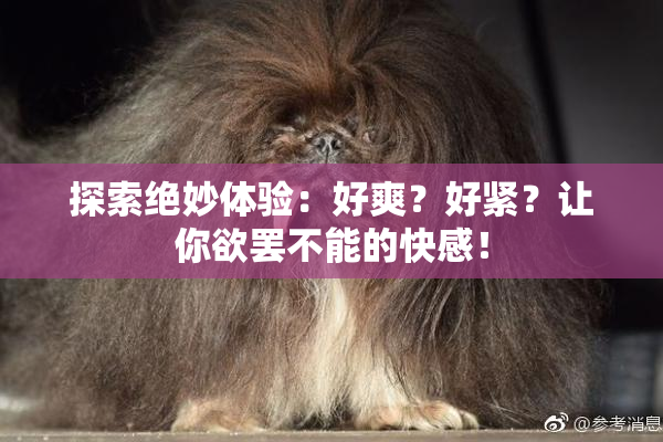 探索绝妙体验：好爽？好紧？让你欲罢不能的快感！