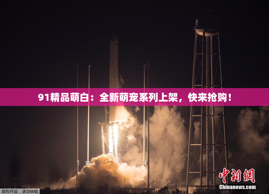 91精品萌白：全新萌宠系列上架，快来抢购！