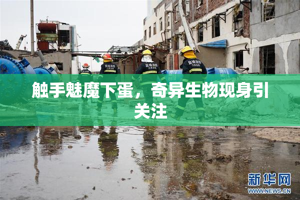 触手魅魔下蛋，奇异生物现身引关注
