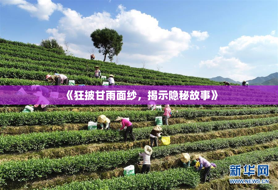 《狂披甘雨面纱，揭示隐秘故事》