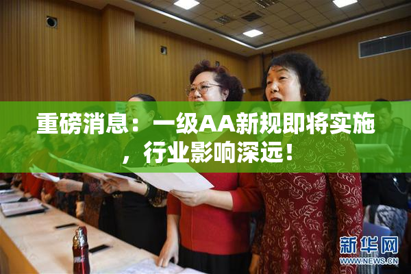 重磅消息：一级AA新规即将实施，行业影响深远！