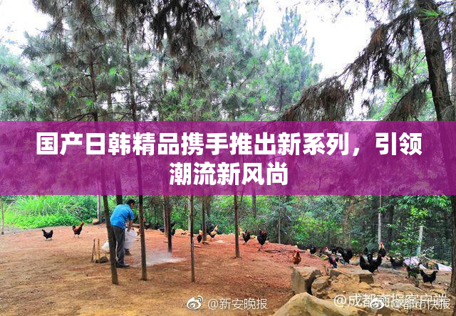 国产日韩精品携手推出新系列，引领潮流新风尚