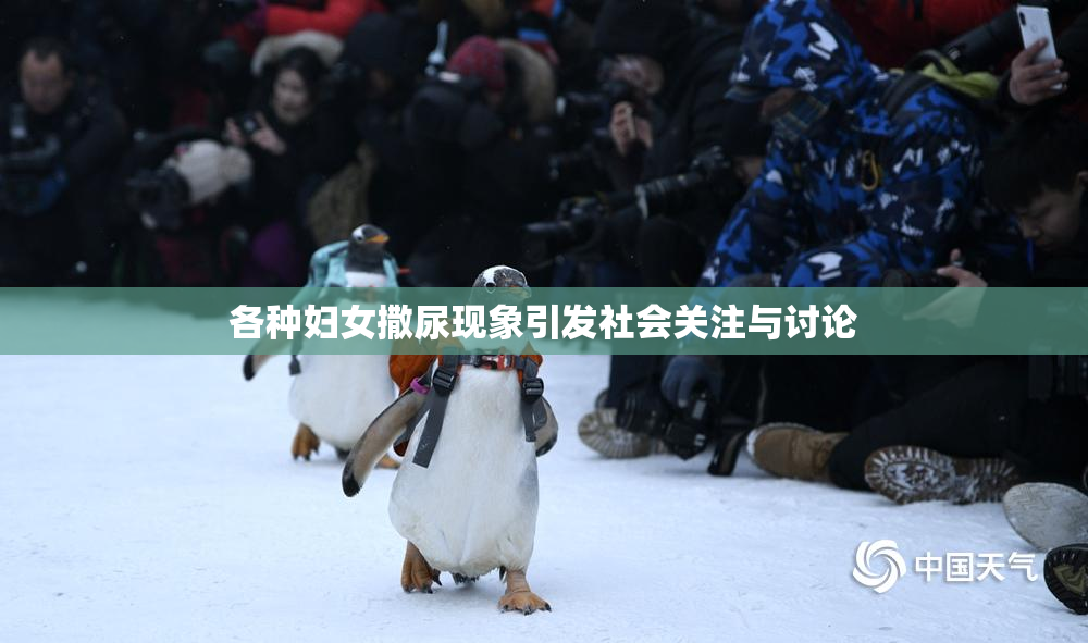 各种妇女撒尿现象引发社会关注与讨论